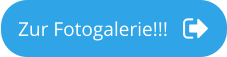 Zur Fotogalerie!!!